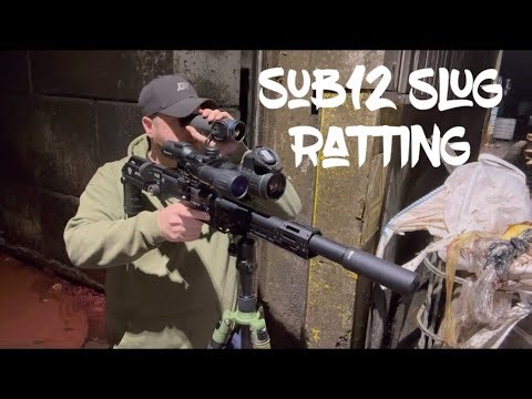 Mega ratting session with slugs