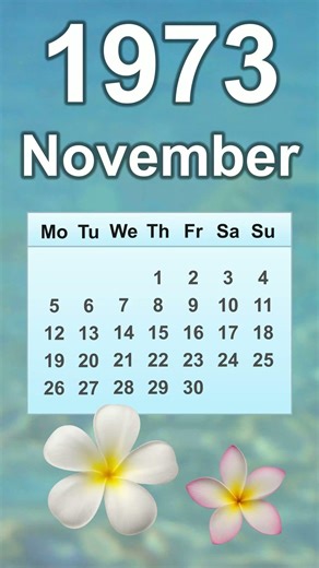 November 1973 Calendar