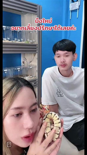 #น็อตทวัช #หงษ์พัชชา