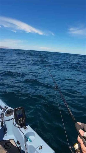 I've never had a fish like this