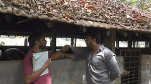 667K views · 19K reactions | Karnataka Piggery Man Hemanth Gowda |Pig Farming Contact No=9901122229 | My Nature India Foundation | Facebook