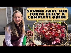 Spring Care for Coral Bells: A Complete Guide