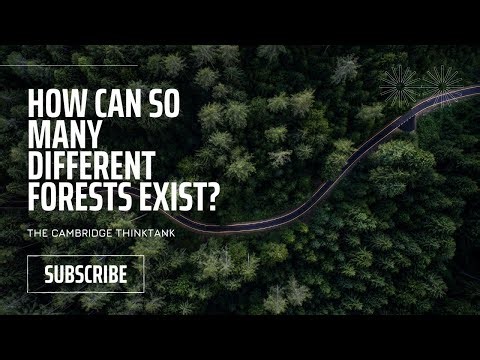 One Planet, So Many Forests?! | Episode 1 |The Cambridge ThinkTank