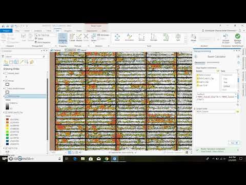 ArcGIS Pro: Fishnets and Zonal Statistics