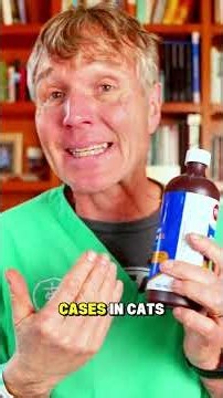 How to Safely Induce Vomiting in Dogs After Poisoning #petpoisoning #poisoning #petfirstaid