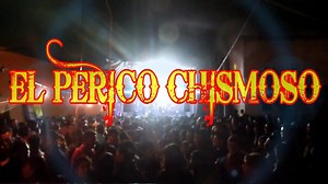 3.9K views · 32 shares | El perico chismoso en vivo 2017 kumbao | Internacional Kumbao | Facebook