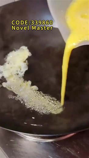 Read the Complete Book with Novel Master Code 339860