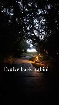 Evolve back Kabini a luxury stay with great amenities , ￼food perfect stay #therapy #nature