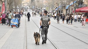 Israel Elections: Voter fraud, police attacks, and prisoners | The Jerusalem Post