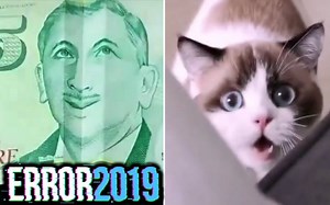 ERROR沙雕视频集锦#23