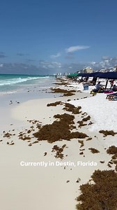 Another beautiful day in #destinflorida #destin #destinfl | Destin Life