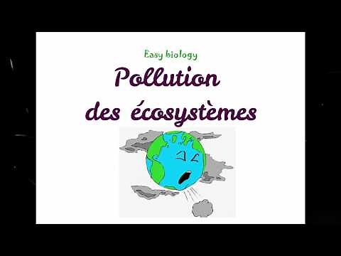 Pollution des écosystèmes (Pollution du sol) - Partie 1