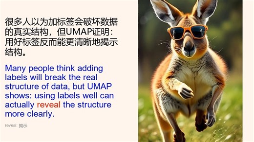 【重生英语】 UMAP进阶 - 给数据贴上标签，降维效果直接起飞！监督降维到底有多强？