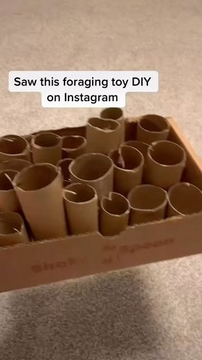 Super Adorable Rabbit Videos on Instagram: "diy rabbit toy! will you try it? #bunnystagram #bunnylife #bunnylove #bunnylover #bunnygram #bunnyrabbit #rabbitsofinstagram #rabbits #rabbitlife #rabbitlove #bunnycare #bunnystagram #rabbit #rabbitlife"