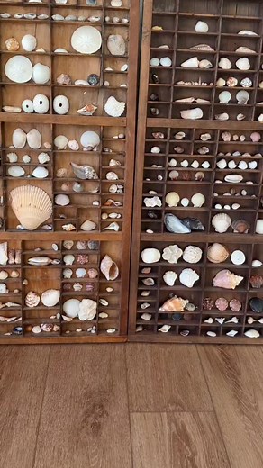 33 reactions · 25 comments | Seashell mug (available 11/22) inspired by my seashell collection (featured in the background) and my love of beachcombing. This mug will be part of my update Saturday at noon EST! . . . #potterydesign #potterylove #potterymug #coastalart #seashellart | Meghan Yarnell Ceramics | Facebook