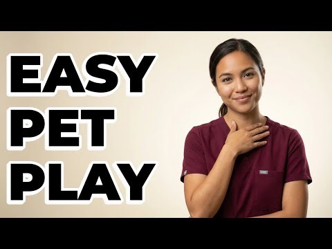 Which Interactive Pet Games Are Simple to Set Up?