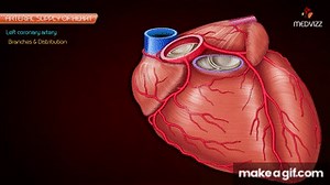 Coronary arteries Anatomy / Blood supply of Heart /  Arterial supply of heart : Animation on Make a GIF