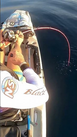 Θα ΣΠΑΣΕΙ το ΚΑΛΑΜΙ 😱😱 #fishing #kayakfishingtips #ψάρεμα #fish #kayakfishing