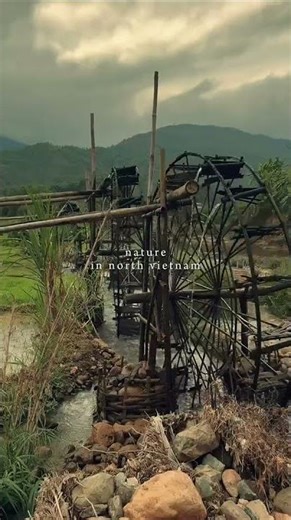 Exploring Northern Vietnam, Vietnam Tour Fun from Wendy L. 🇻🇳