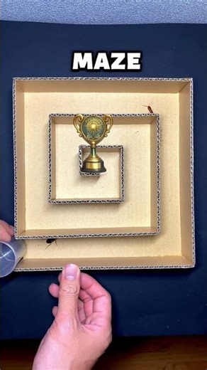 Beetle vs Centipede in a Spiral Maze… Who Wins? 😳🐜