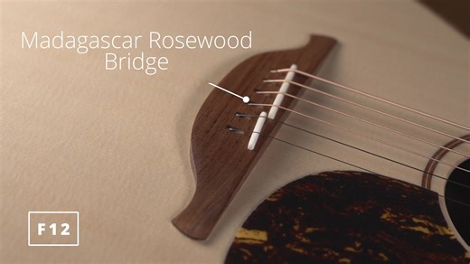 A closer look (and listen!) at the F-12 model released this year - the first Lowden guitar to feature a bolt on neck design. These guitars deliver the distinctive Lowden sound: full, warm, and dynamically responsive. | Lowden Guitars