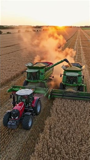 Amazing Farming Coordination in Action 🌾🚜