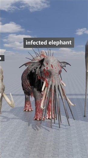 Monster Elephant Makes Everything Look Tiny 🐘 #shorts #mindblown