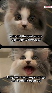 Too many closings, but can’t open up? Even real estate need a little space sometimes! Looking for a home that feels just right? Find your dream home today with Magicbricks! [Real estate, home buying, house hunting, property search, dream home, rent or buy, find your space, Magicbricks, buy rent sell, property investment, homeownership] #RealEstateHumor #HouseHunting #DreamHome #FindYourSpace #Magicbricks #BuyRentSell #PropertyGoals | Magicbricks