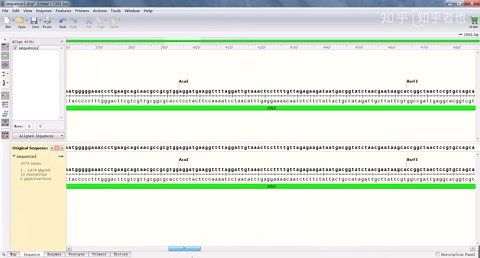 Snapgene 4.3.6稳定版 如何进行序列建立以及序列比对