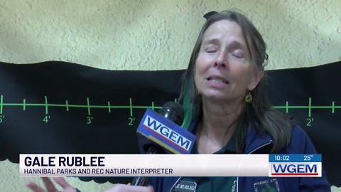 Raptor show draws in crowds to the annual Hannibal Eagle Day