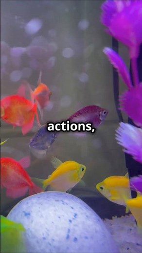 Understanding Fish Behavior: Explore common behaviors in fish
