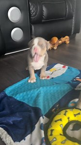 They are so ABUSIVE 🥺 | Becca Becc