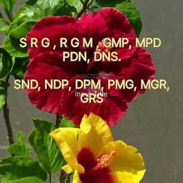 G sharp scale Practice Bilawal/ Shankarabharanam practice