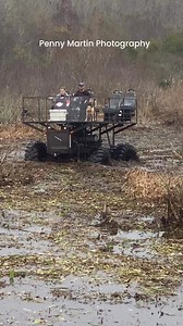 4M views · 45K reactions | Mud Bog Dog #offroad #swamp #buggy #mudbogging #dog | Penny E Martin Photography | Facebook