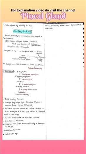 pineal gland with handwritten notes for CSIRNET Life sciences,#jrf #neet #exam