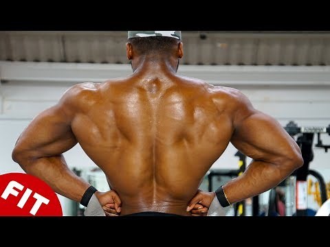 HOW TO BUILD A MASSIVE BACK