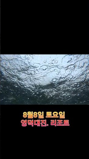 8월8일 바다 ~ 영덕 우중다이빙. 비오는날바다속.. 수온10미터27도18미터 14도. . . #바다