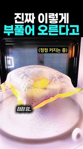 전자레인지 안에서 엄청나게 부풀어 오르는 신기한 고구마 봉지 스팀 조리
