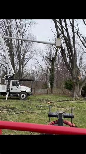 #treeservice #treework #trees #atstreeservices #arboristsoftiktok #arboristlife #arborist #deadash #buckettruck #rigging #treeremoval #treestuff