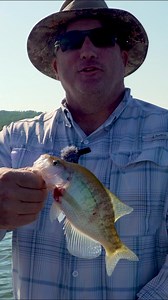 9.3K views · 66 reactions | Beginner tips with Livescope Crappie fishing. | American Crappie Trail | Facebook