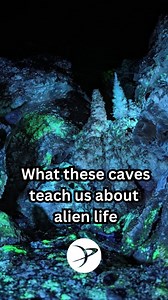Caves 🤝 alien life How are caves helping us understand how life might survive on other worlds? Turns out, the chemistry inside South Dakota’s Wind Cave closely mirrors what we might find on icy moons like Europa — and it’s a lot easier to reach. That’s why astrobiologist Joshua Sebree (@_astro_caver), a professor at the @northern_iowa, journeyed hundreds of feet underground to study the minerals and microbes thriving in these dark, frigid conditions. #space #science #caves #spelunking #astrobio