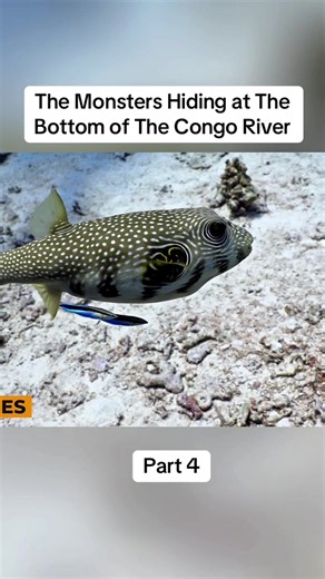 Monsters Hiding at the Bottom of the Congo River — Part 4