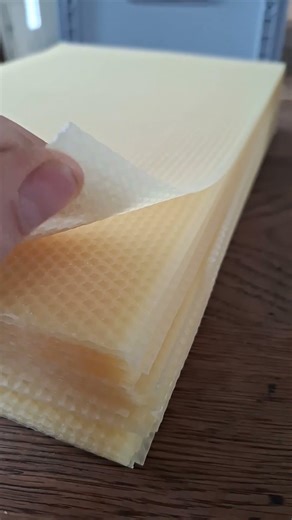 Craquement ASMR : je décolle la cire d’abeille pour mes cadres de ruche. 🐝 #apiculture #cire