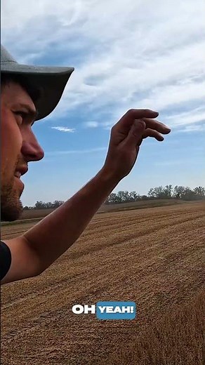 This is why I love farming!