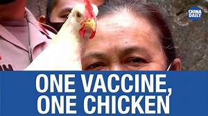 7.9K views · 167 reactions | Senior citizens in this Indonesian village are being thanked for getting vaccinated with a free live chicken. | China Daily | Facebook