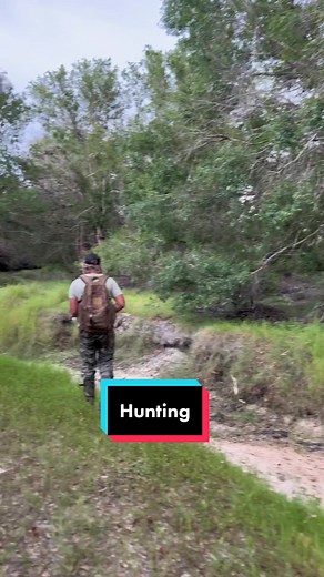 Hog hunting with The bat reverse #fyp