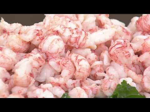 Anderson Seafoods (4) 16 oz. Langostino Tails with Greg Shockley