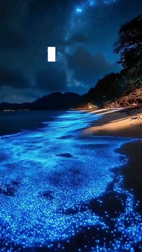 3.10平潭蓝眼泪出现手动挡概率:95% #蓝眼泪 #平潭蓝眼泪 #旅行推荐官 #平潭岛 #已经开始期待福建的夏天了