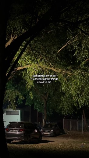 things left unsaid · (@leftunsaidwords)’s videos with shine - Orchid Mantis