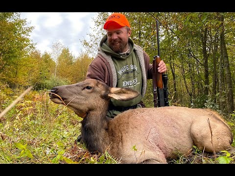 Michigan Elk Hunt